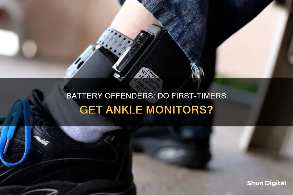 do fisrt offenders of battery where an ankle monitor