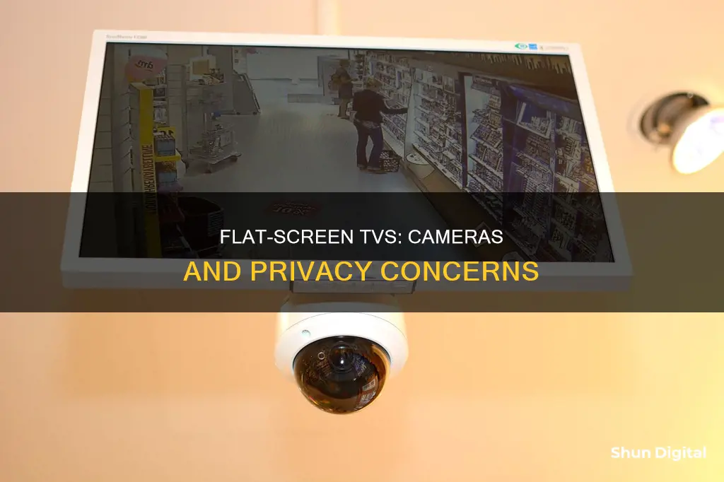 do flat screen tv have cameras