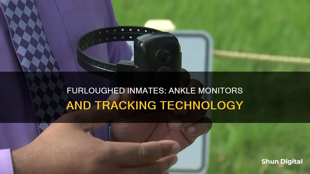 do furloughed inmates wear ankle monitors