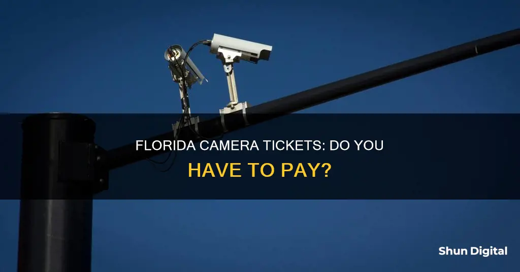 do I have to pay a camera ticket in Florida