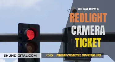 Red Light Camera Tickets: Who Pays the Price?