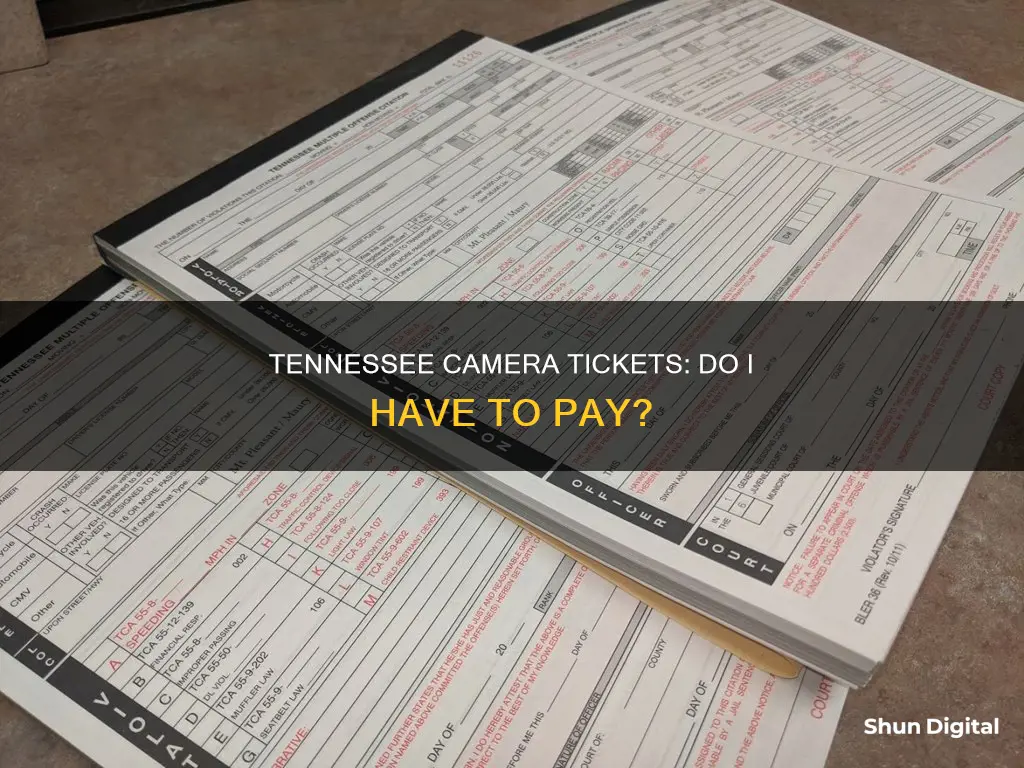 do I have to pay camera tickets in Tennessee