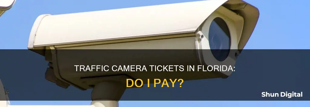 do I have to pay traffic camera tickets in Florida