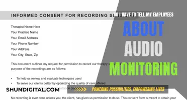 Audio Monitoring: What Should Employers Disclose to Employees?