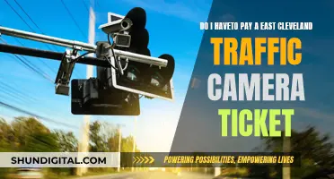 Traffic Camera Tickets: Do You Have to Pay?