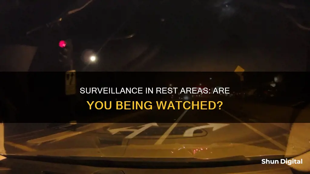 do interstate resareas have surveillance cameras