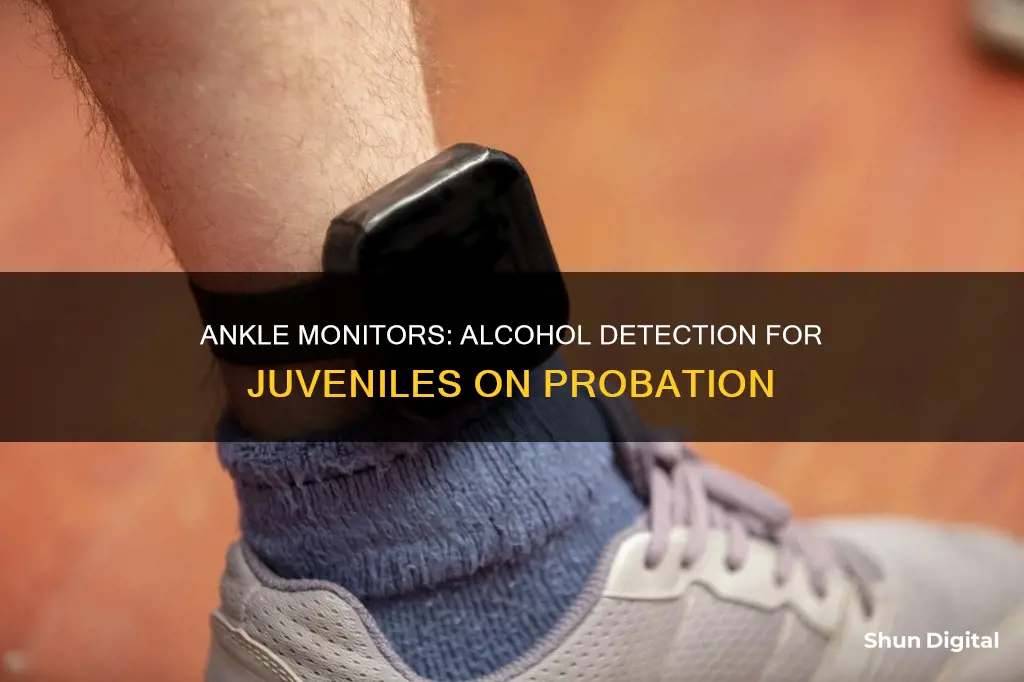 do juvenile ankle monitors detect alcohol