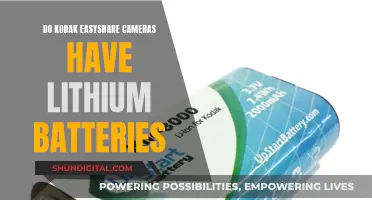 Lithium Batteries: Kodak EasyShare Camera Power Source