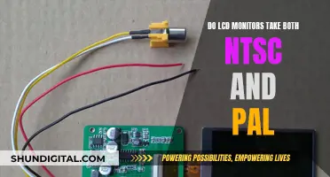 LCD Monitors: Handling Both NTSC and PAL Signals