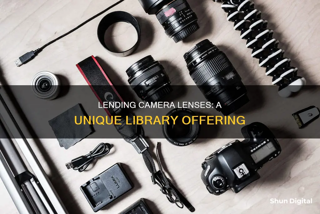 do libraries lend camera lenses