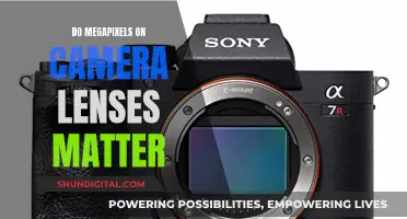 Megapixels: Camera Lens Quality or Marketing Ploy?