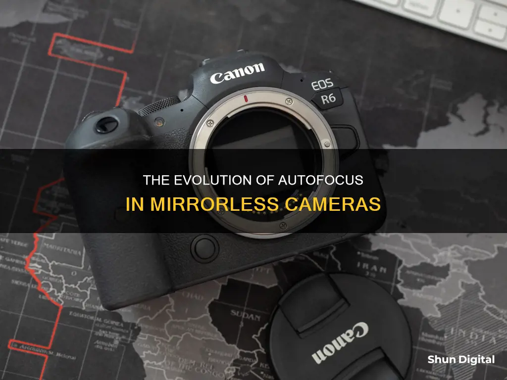 do mirrorless cameras have auto focus