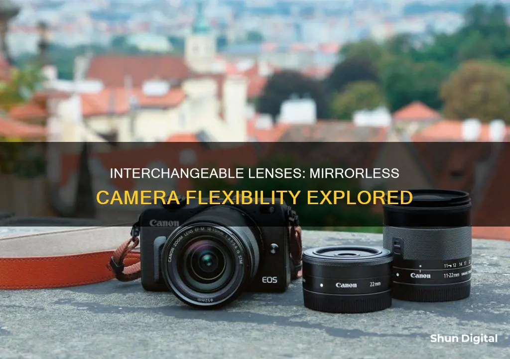 do mirrorless cameras have interchangeable lenses