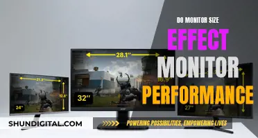 Monitor Size: Performance Impact and Visual Experience