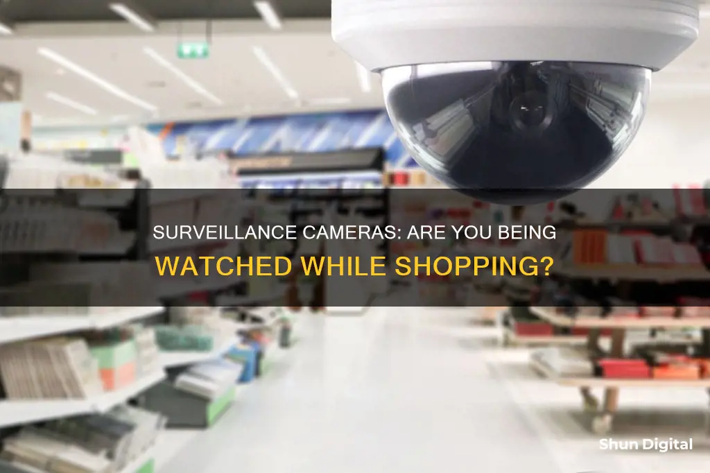 do most stores have surveillance cameras