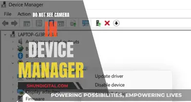 Device Manager Woes: Camera Unavailable