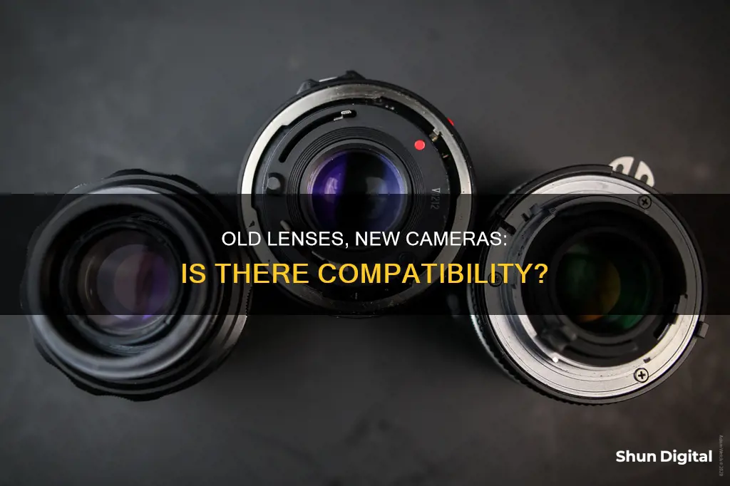 do old lenses fit on new cameras