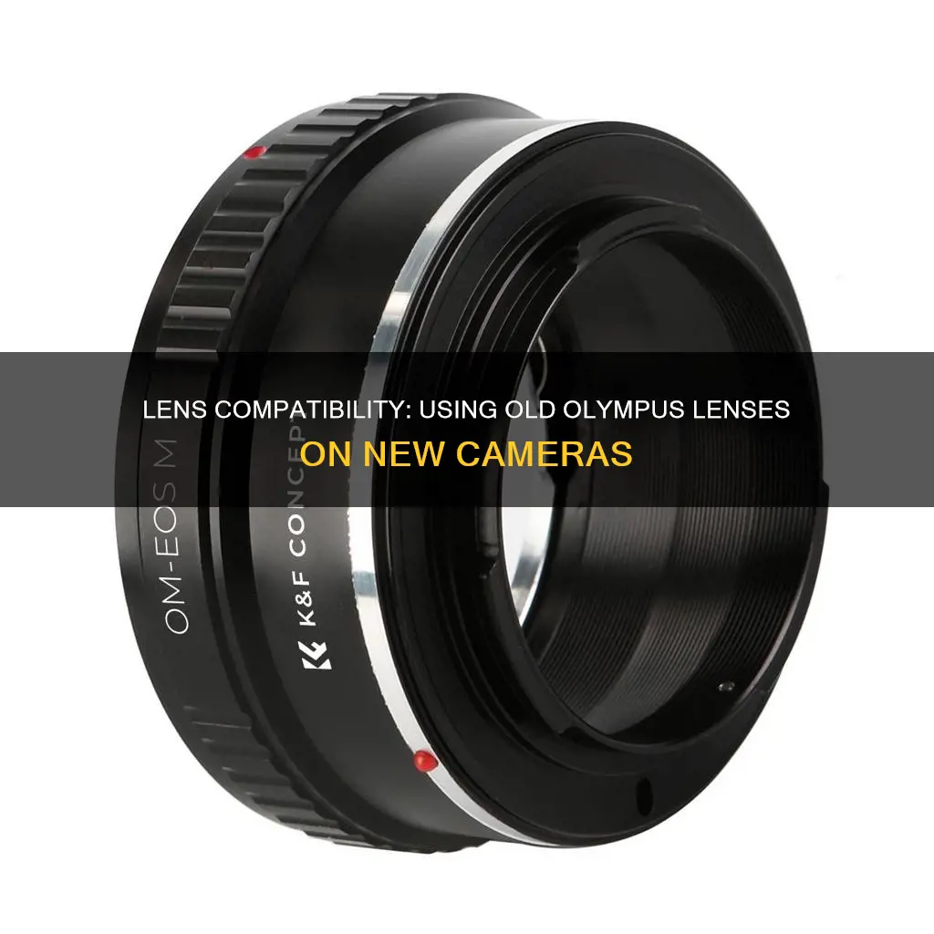 do old olympus lenses fit new cameras