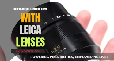 Leica Lenses: Panasonic Cameras' Secret Weapon?