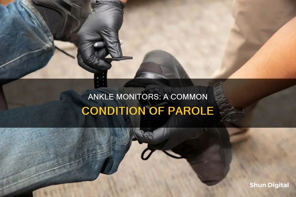 do parolees wear ankle monitors