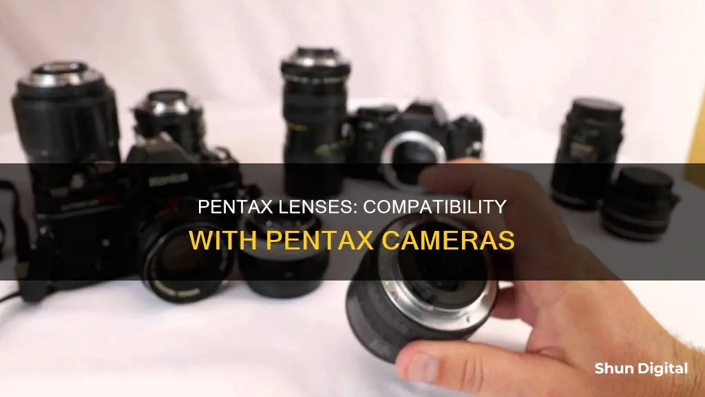 do pentax lenses fit all pentax cameras