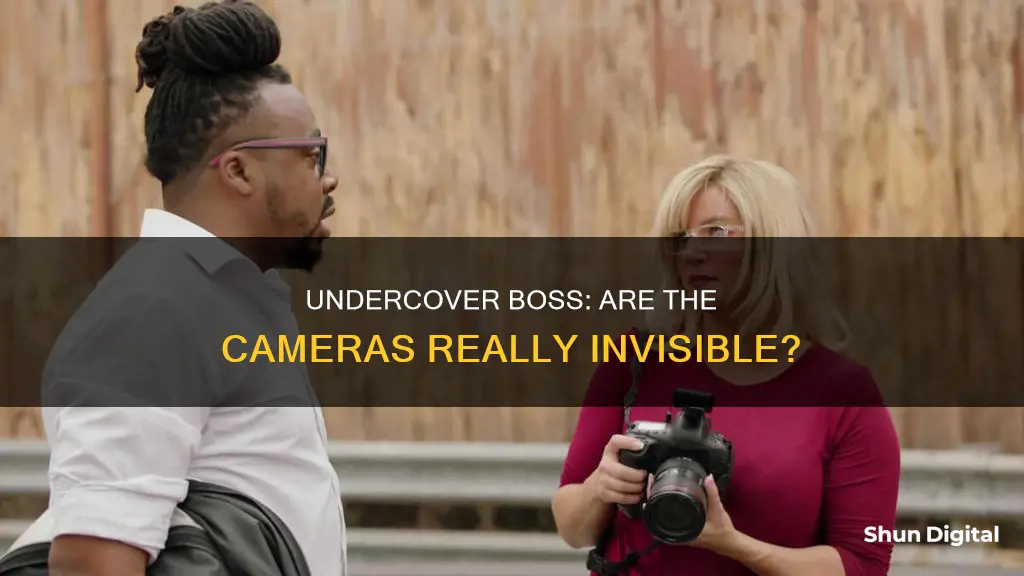 do people see the camera in undercover boss