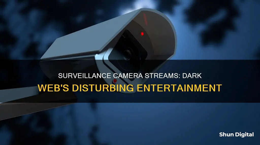 do people watch surveillance camera on the dark web