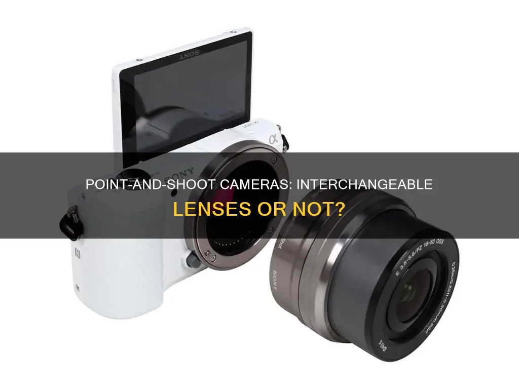 do point and shoot cameras have interchangeable lenses