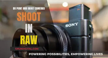 Point-and-Shoot Cameras: Can They Shoot RAW?