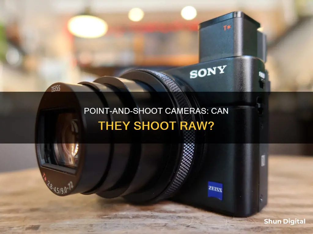 do point and shoot cameras shoot in raw