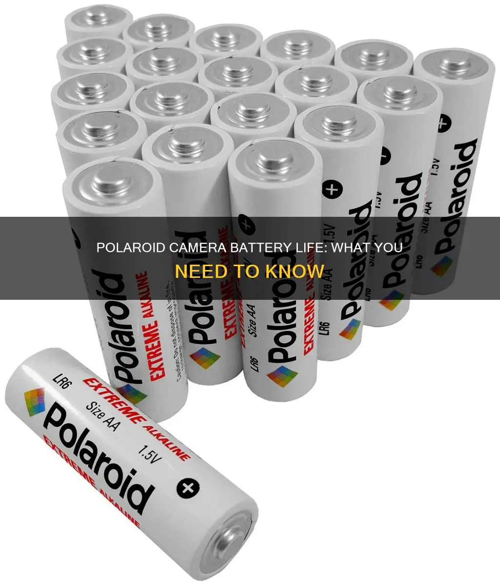 do polarid camers have batteries