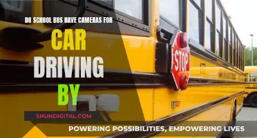 School Bus Security: Do Cameras Catch Cars?