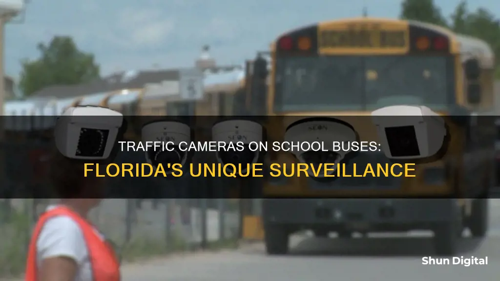 do school buses have traffic cameras florida