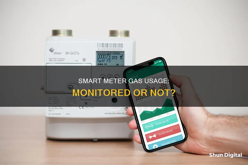 do smart meters monitor gas usage