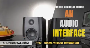 Studio Monitors and Audio Interface: What's the Connection?