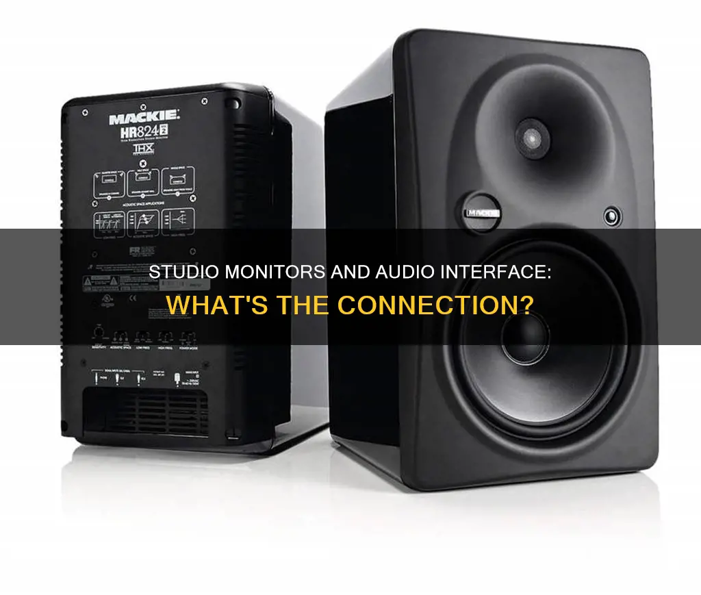 do studio monitors go through an audio interface