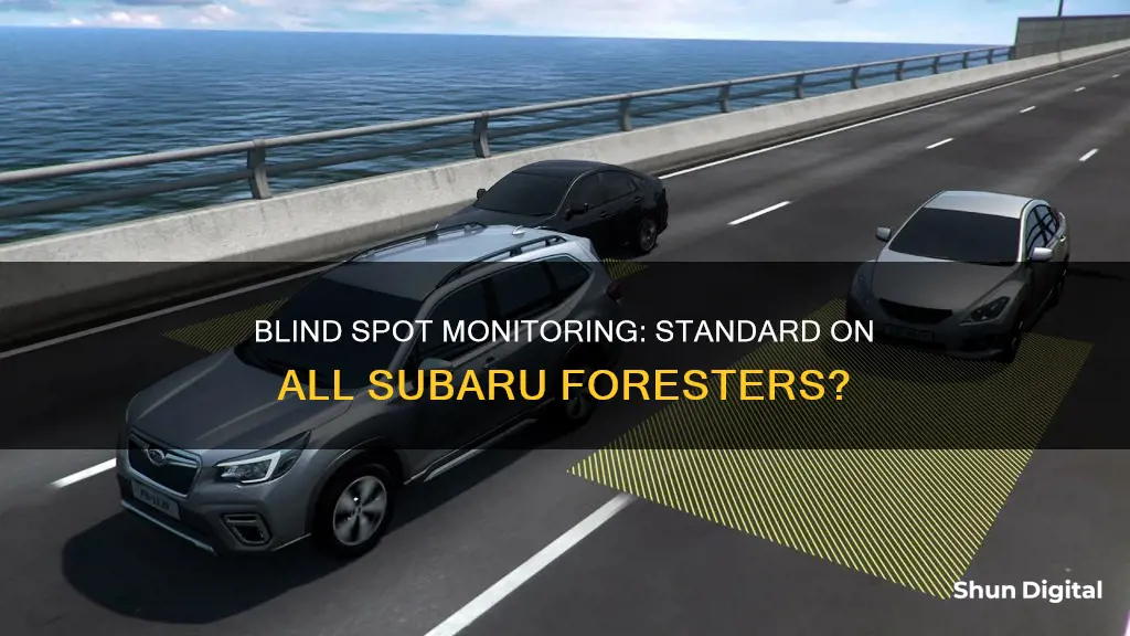 do subaru forestrs come with blind spot monitoring