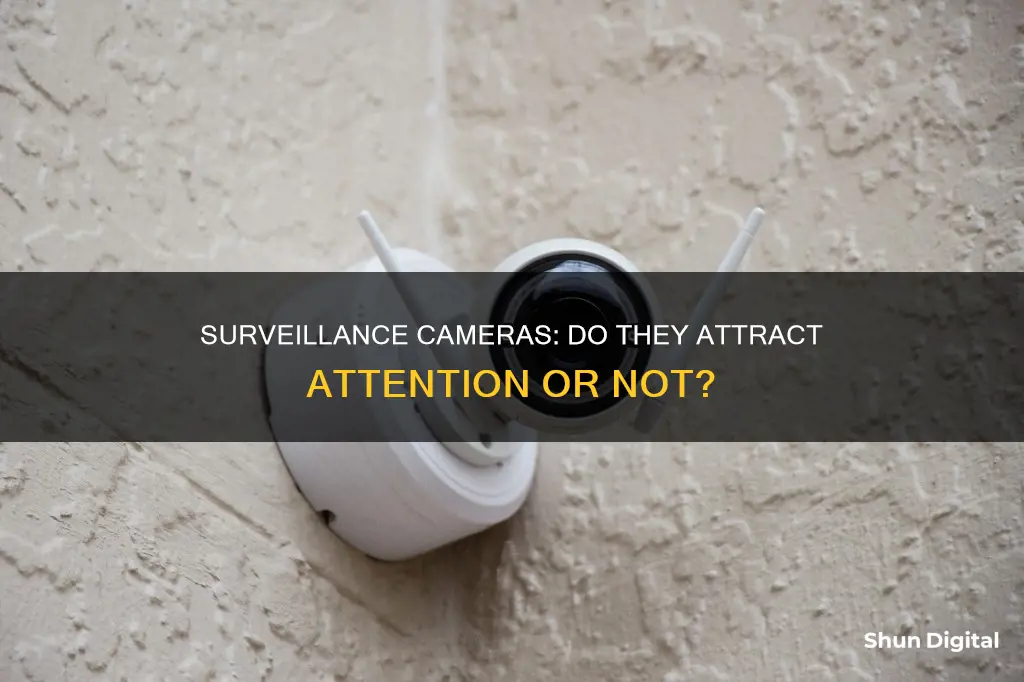 do surveillance cameras attract attention