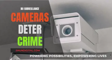 Surveillance Cameras: Crime Deterrent or Privacy Concern?