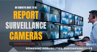 Surveillance Camera Surveys: Privacy and Security Reporting