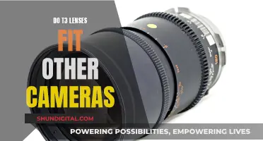 T3 Lenses: Universal Fit or Camera-Specific?