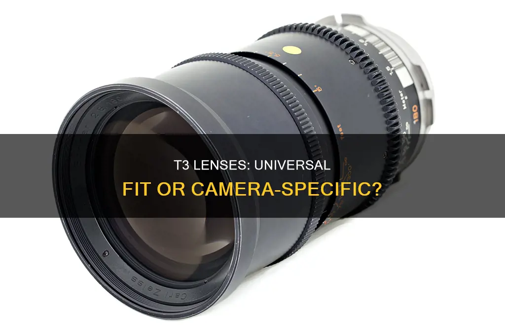 do t3 lenses fit other cameras