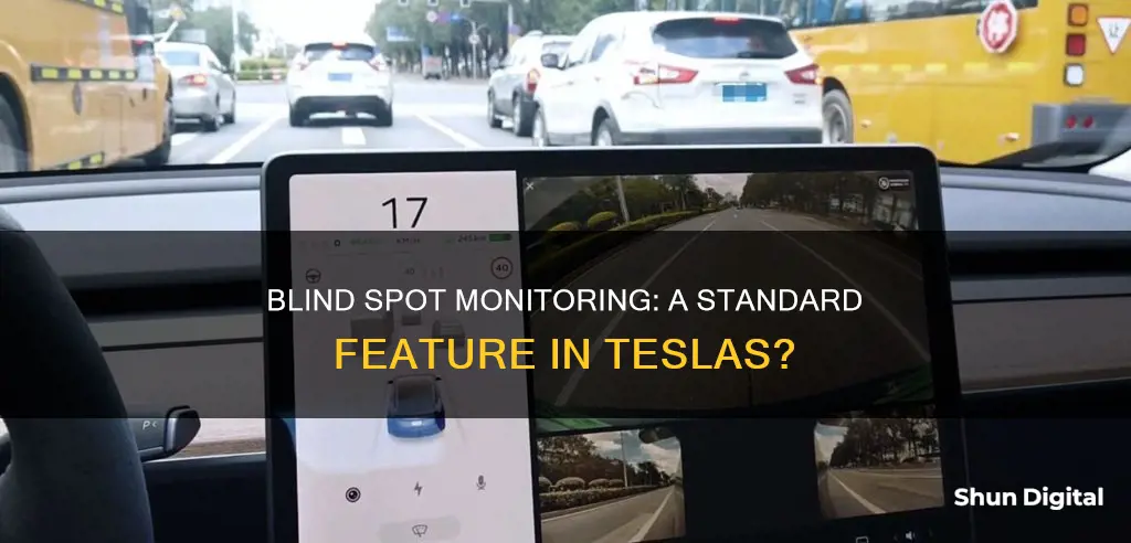 do teslas have blind spot monitoring