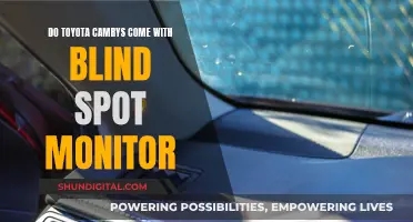 Blind Spot Monitor: Standard or Optional on Toyota Camrys?