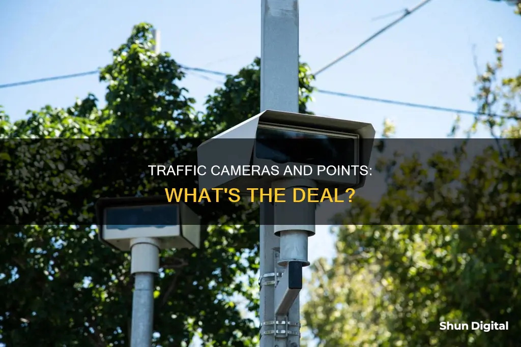 do traffic cameras give points