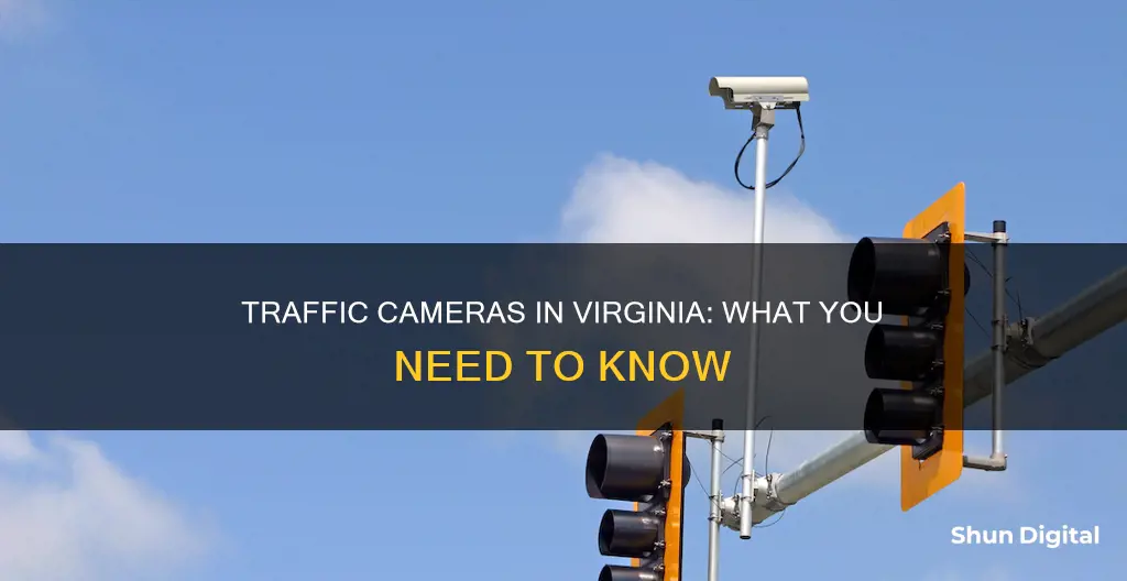 do va have traffic cameras