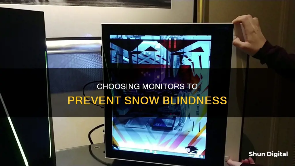 do you beed a particular monitor for snow blind