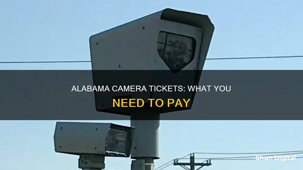 do you have to pay camera tickets in alabama