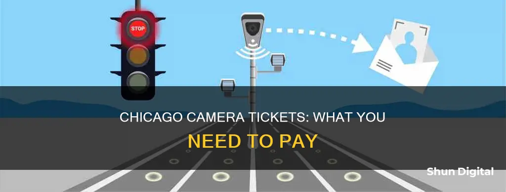 do you have to pay camera tickets in Chicago