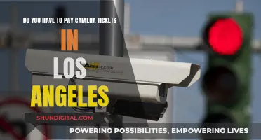 Camera Tickets in LA: Do You Have to Pay?